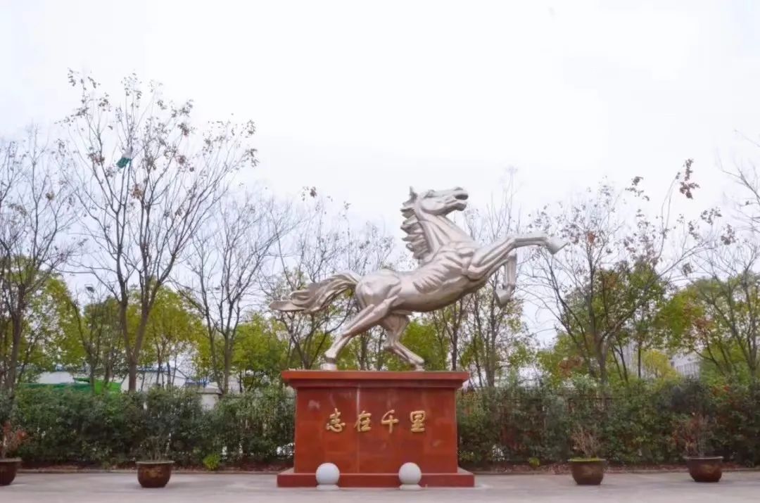 中国·7790必发集团(股份)有限公司-官方网站