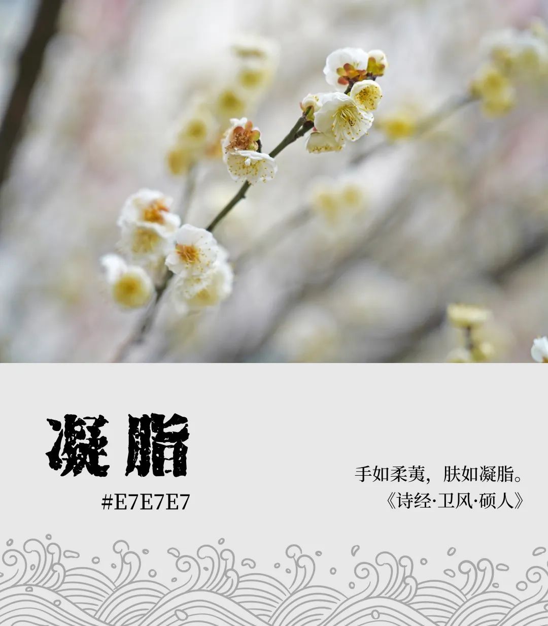 中国·7790必发集团(股份)有限公司-官方网站