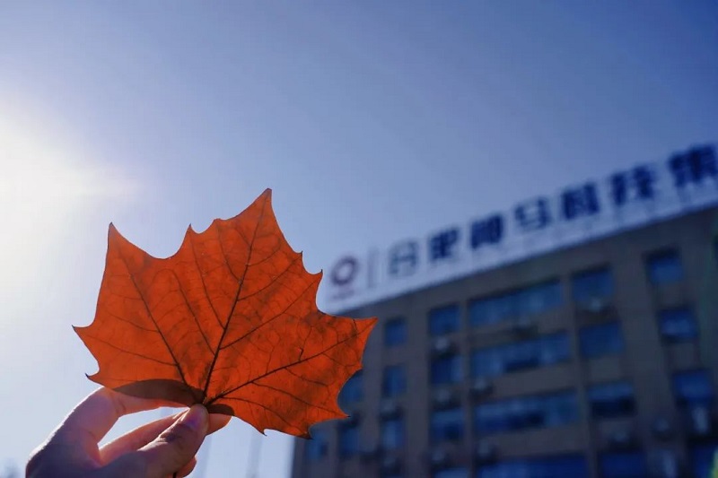 中国·7790必发集团(股份)有限公司-官方网站